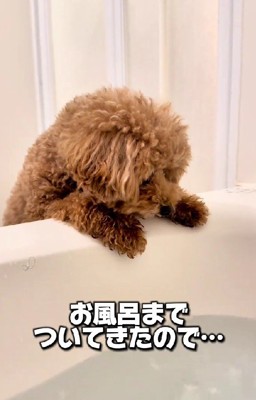 「お風呂一緒に入る?」