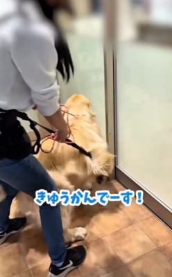 匍匐前進で病院へ