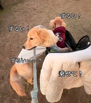 「一緒に乗りたい！」