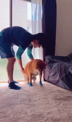 靴を履いたサブローくん2