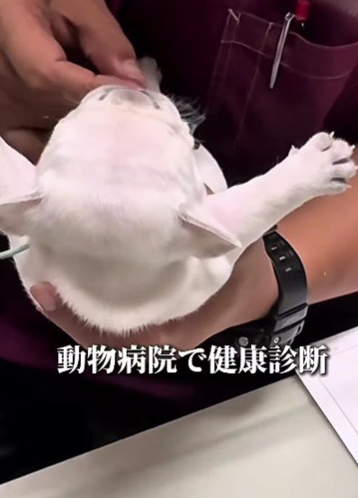 飛んでるみたい♪