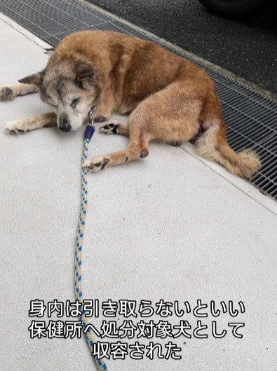 親戚も引き取りを拒否