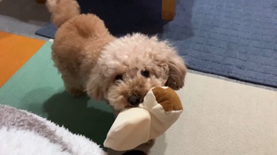 寝る前のいちごちゃん9