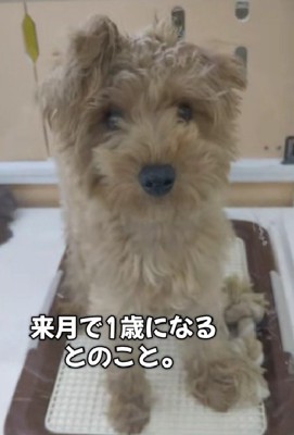 ひとりぼっちになってしまった