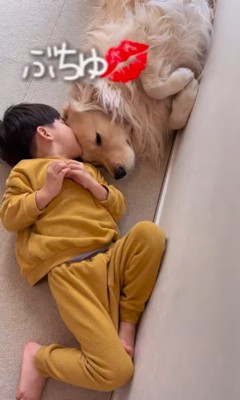 お昼寝中のエルくんと男の子2