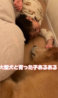 マックスくん＆ロイくんと育った男の子