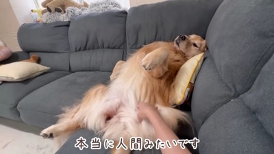 人間みたいな姿に(笑)