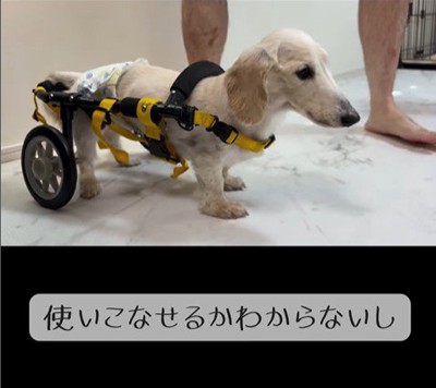 車椅子に挑戦する琥珀くん4