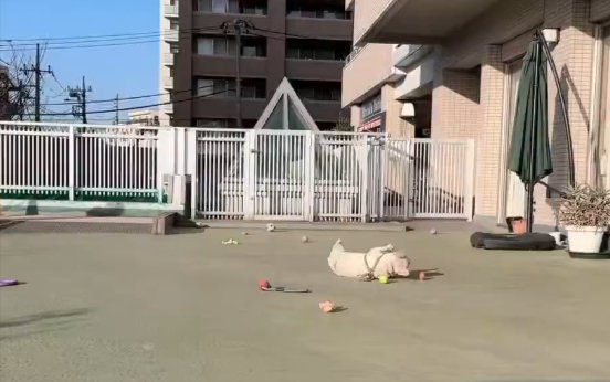 ほぼ