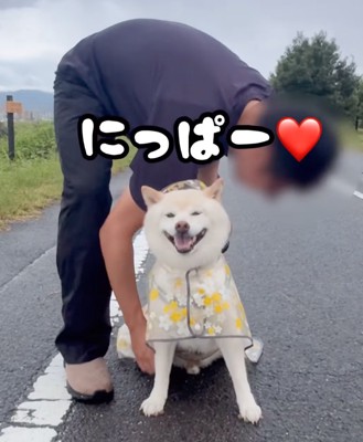 満面の笑みの柴犬