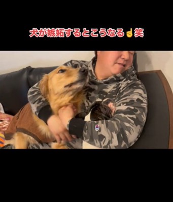 顔をなめる犬