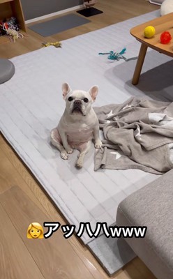 はなちゃんの体勢2