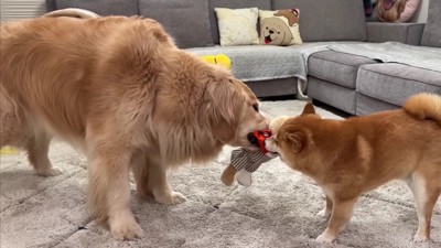 「返さないとダメだよ!!」