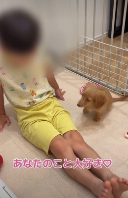「会いたかったよ」