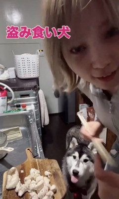 「ごちそうさまー」