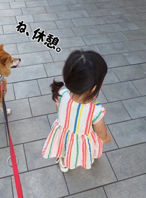 お店を見つめる柴犬と女の子