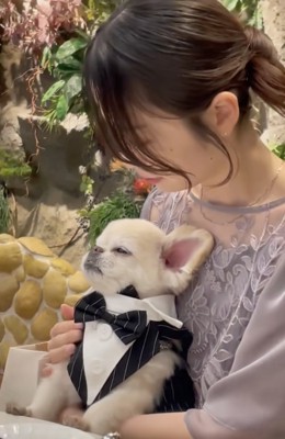 歯が見えちゃってます