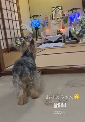 仏壇に近づくと…