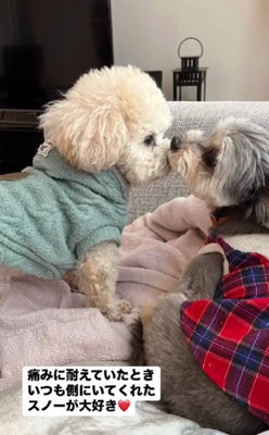 すっかり仲良しに！！