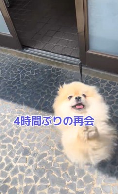 ますお君の熱烈歓迎8