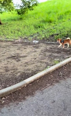 ドッキリに対する福ちゃんの反応2