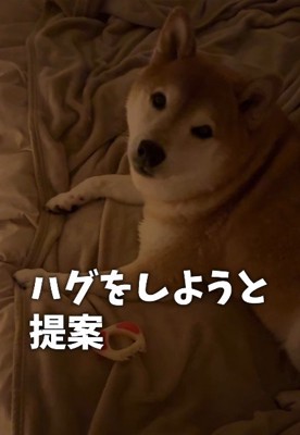 「ハグする?」