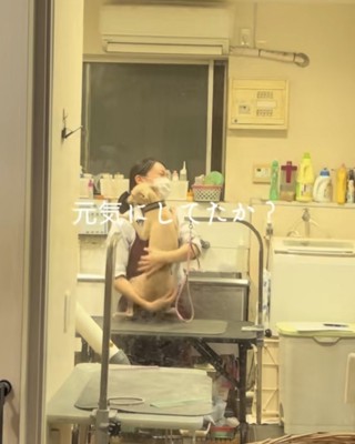 お姉さんに猛烈にハグするイタグレ