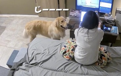 妨害失敗を悟る…