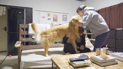 女性になでられる犬と男性