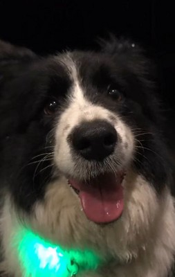 うみちゃんを思い出す