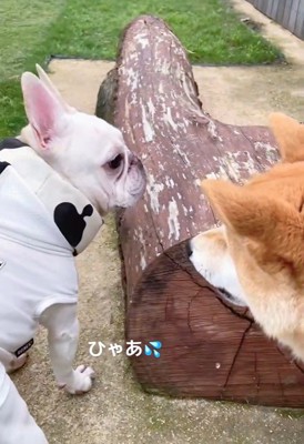 「怒ってる?やばい…」