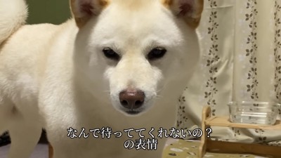 「なんで先に寝るの！」