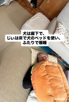 ニウちゃんとおじいちゃん3