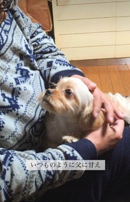 いつでも甘えていた