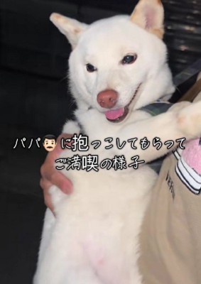 パパの抱っこでご満悦♡