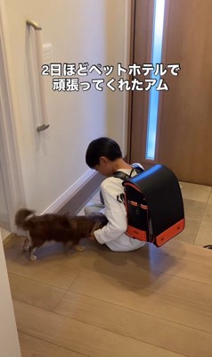 アムくんとお兄ちゃんの再会4