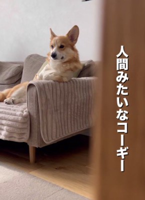 隠し撮りしてみたら…