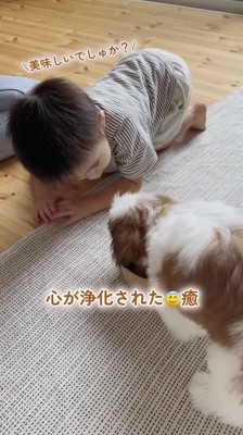ごはんを食べる犬と、それを見つめる男の子