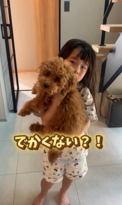 すくすく成長中のぷぅと君2