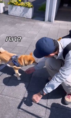 紋次郎くんとお父さんの再会3