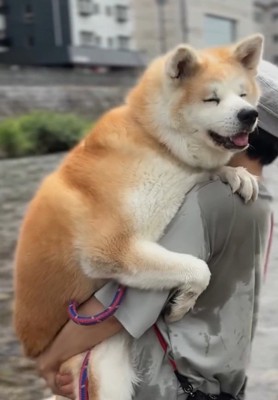 目を細めるおはるちゃん