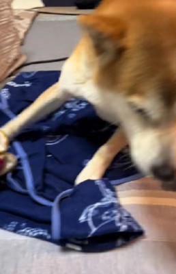 「マジしつこい」