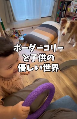 おもちゃを持っている子供と向かい合っている犬