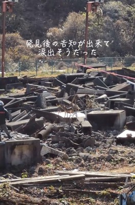 発見後の告知ができたまる君