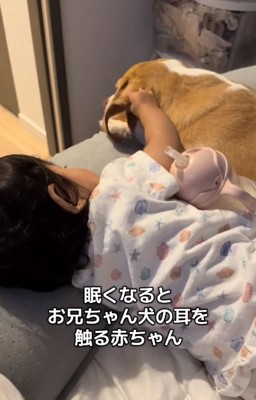 いさきくんと赤ちゃん