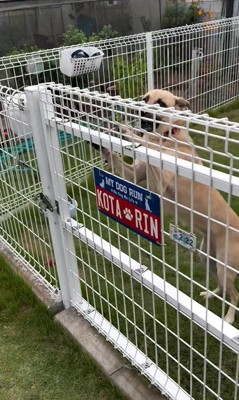 外で遊んでいた幸太郎くんと凛ちゃん5