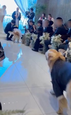 やっと新郎新婦の元へ…