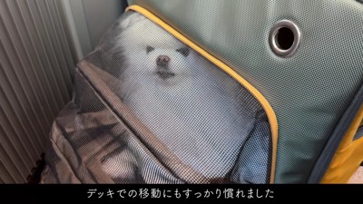 新幹線での移動も慣れたもの