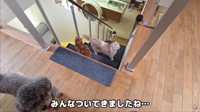 みんなで自宅パトロール