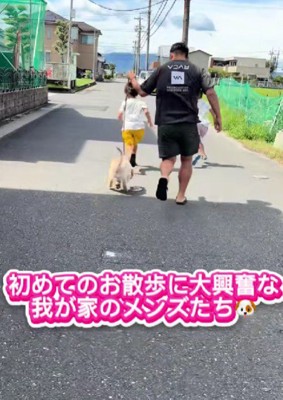 ルカちゃんと家族のお散歩
